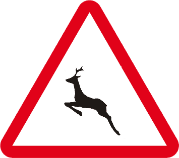 Animale