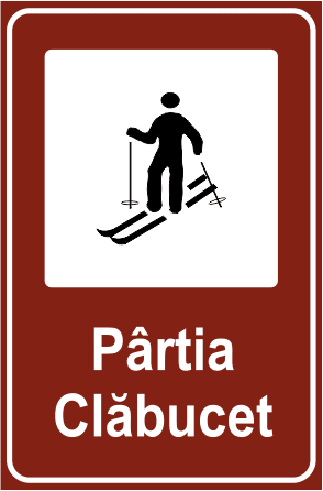 Pârtie schi